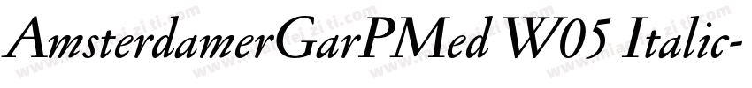 AmsterdamerGarPMed W05 Italic字体转换
